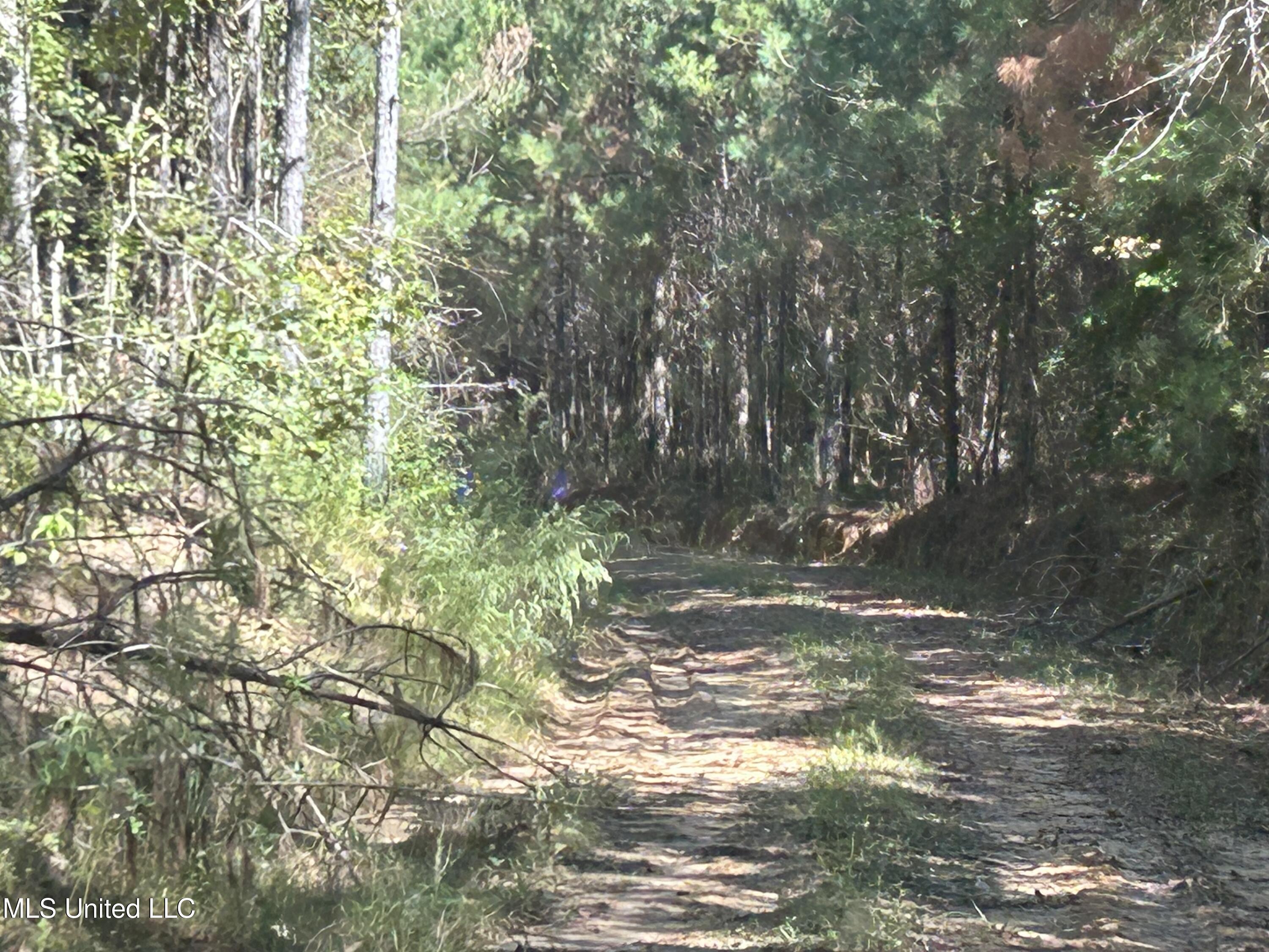 Causeyville Road Meridian, MS 39301 - Photo 16 of 17 IMG_4200
