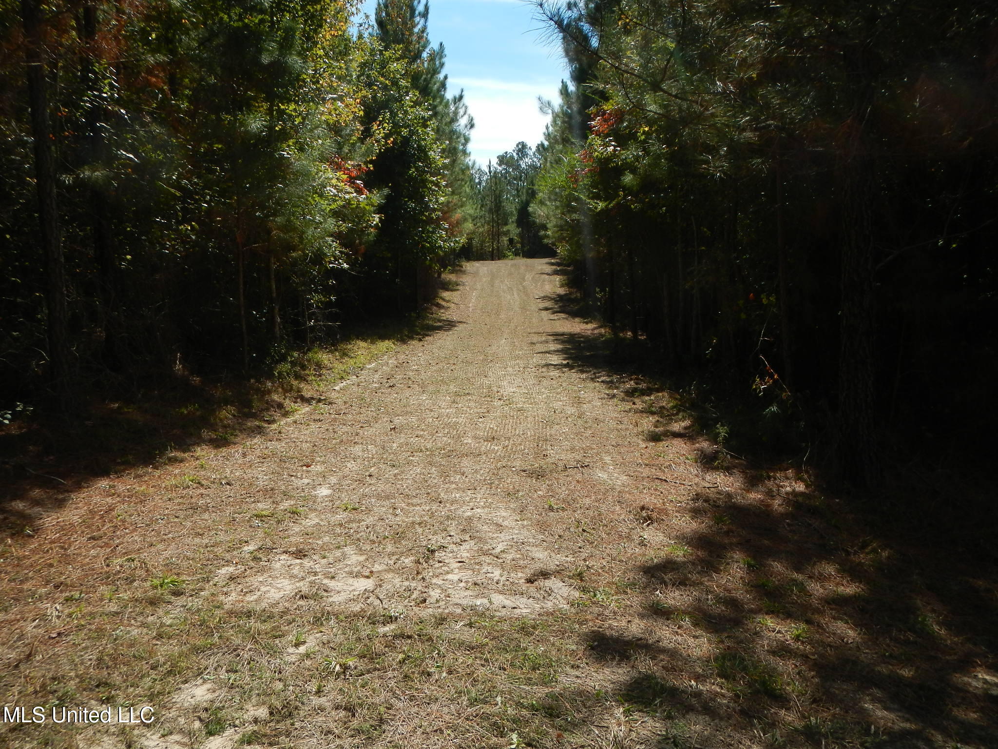 Causeyville Road Meridian, MS 39301 - Photo 5 of 17 DSCN9914