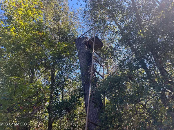 $1,328,800 | Causeyville Road, Meridian, MS 39301