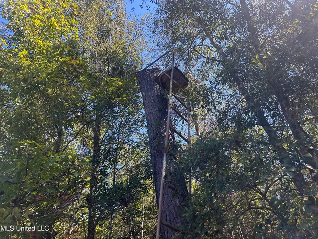 $1,328,800 | Causeyville Road, Meridian, MS 39301