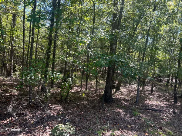 $1,328,800 | Causeyville Road, Meridian, MS 39301