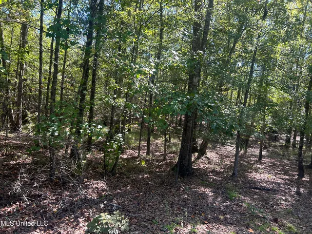 $1,328,800 | Causeyville Road, Meridian, MS 39301