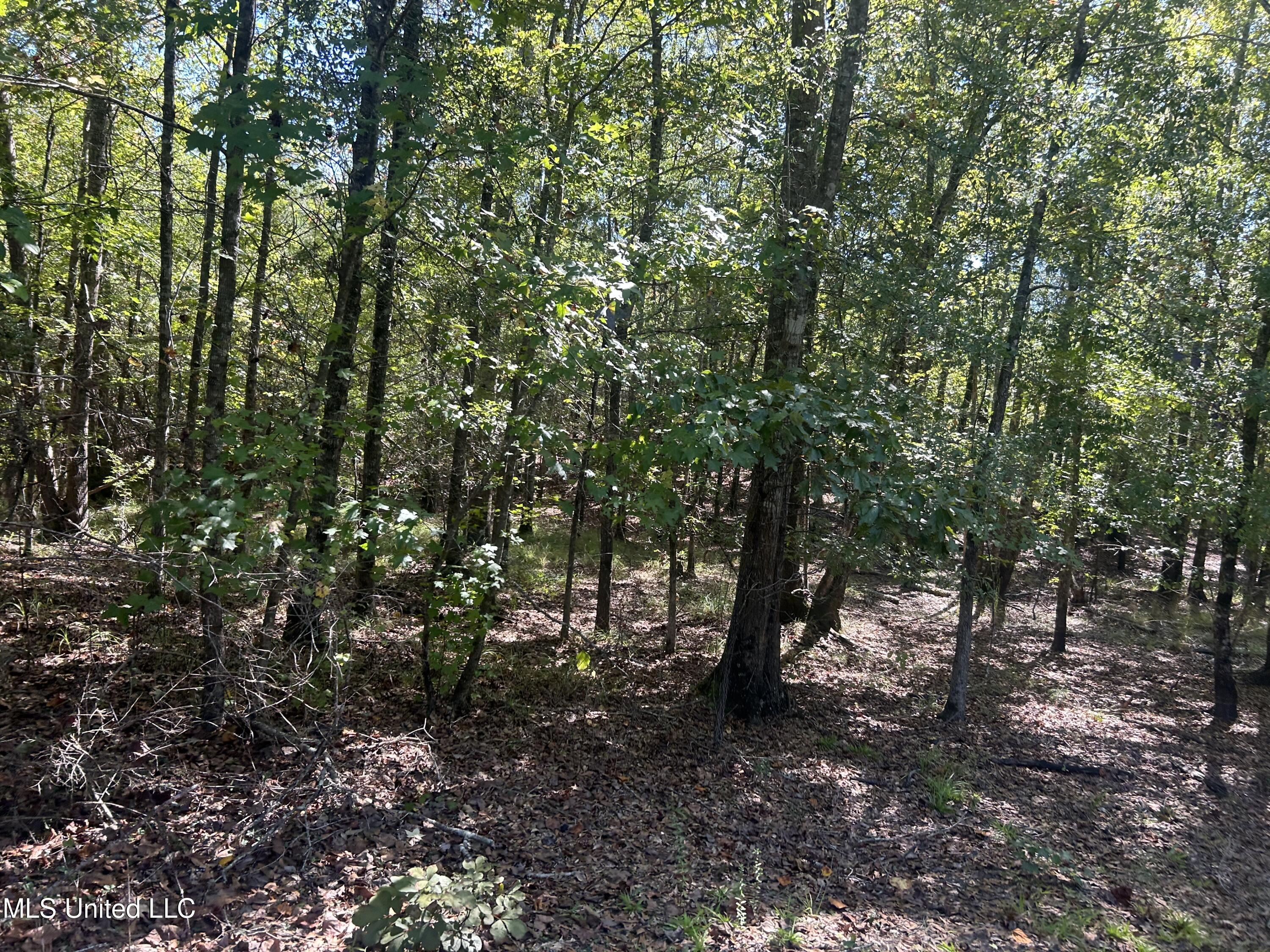 Causeyville Road Meridian, MS 39301 - Photo 7 of 17 IMG_4211