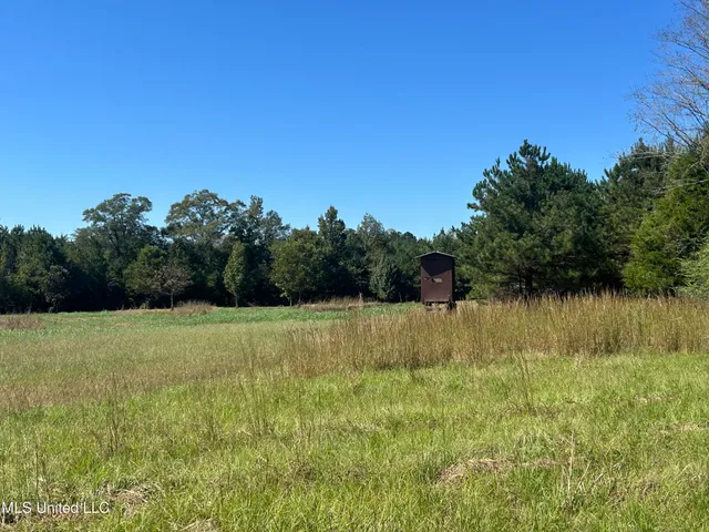 $1,328,800 | Causeyville Road, Meridian, MS 39301