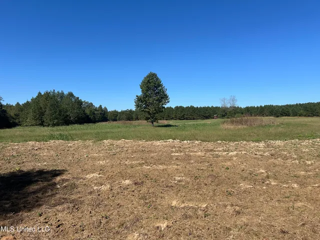 $1,328,800 | Causeyville Road, Meridian, MS 39301