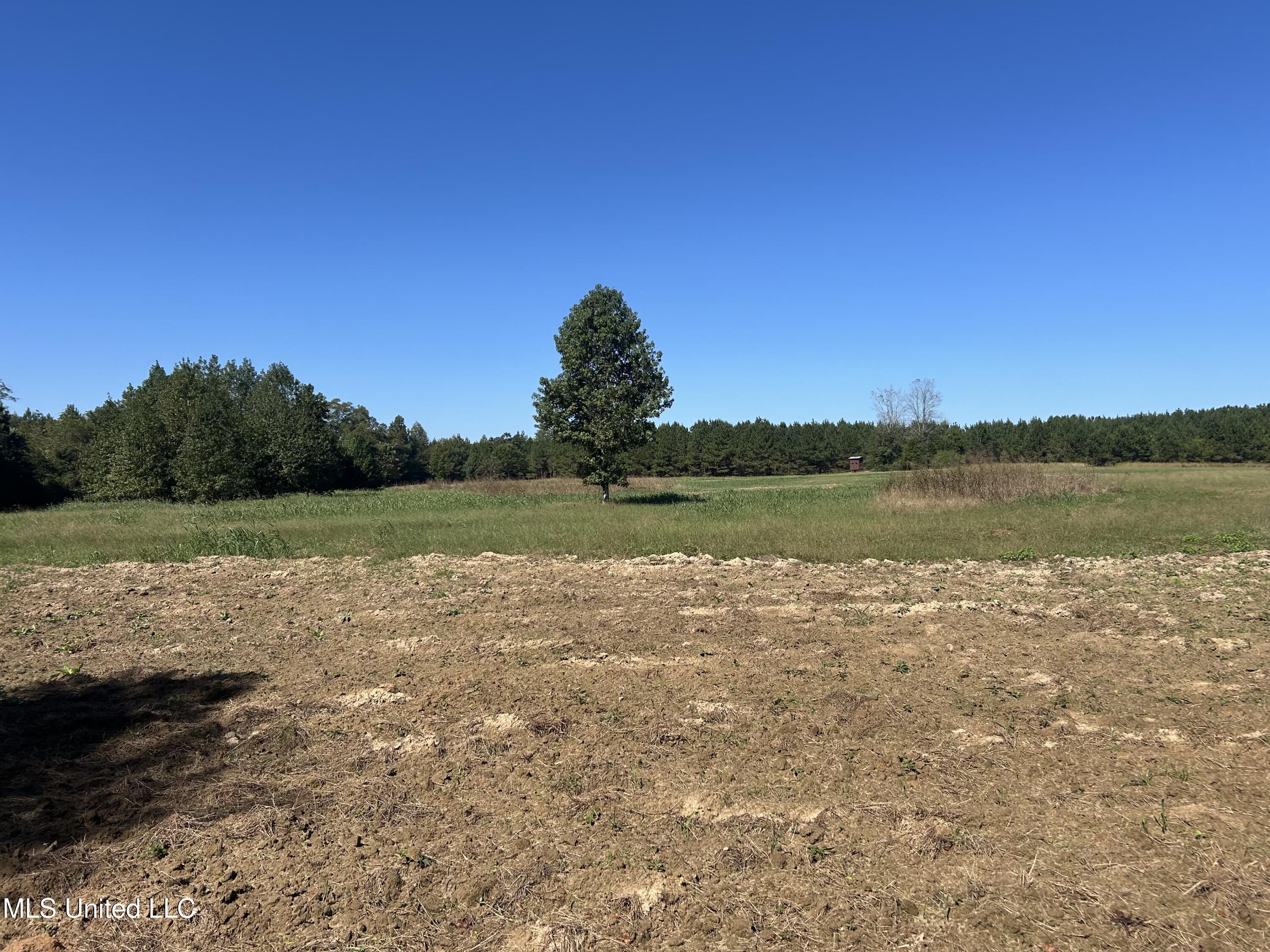 Causeyville Road Meridian, MS 39301 - Photo 10 of 17 IMG_4209