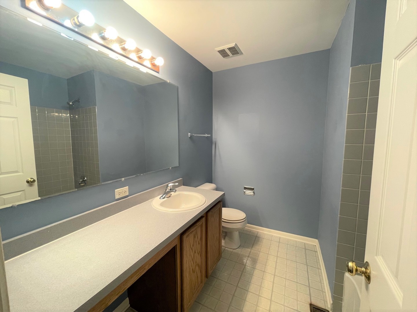2463 Georgetown Circle Aurora, IL 60503 - Photo 16 of 21 a bathroom with a sink and a mirror