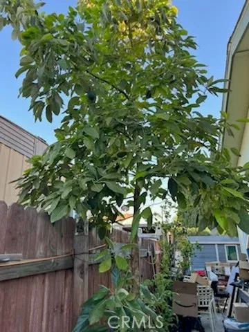 1616 South Euclid Street, Unit 54 Anaheim, CA 92802 - Photo 10 of 11 a backyard of a house with lots of green space