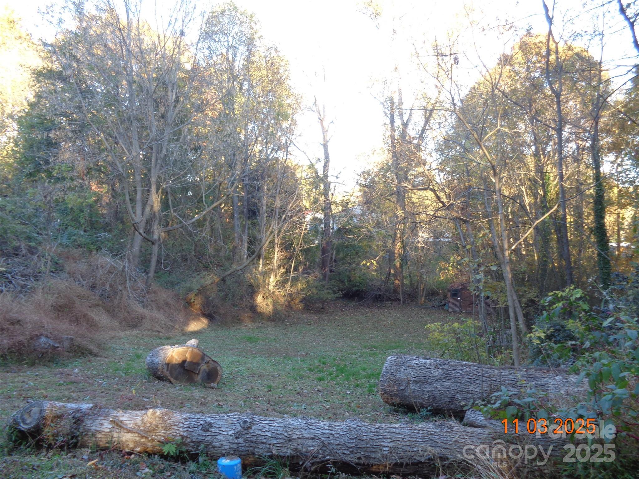 1412 Walt Arney Road Lenoir, NC 28645 - Photo 16 of 20 a backyard of a house with lots of green space