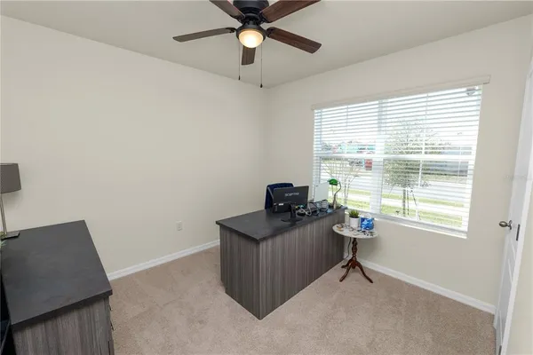 a view of a room that has a couch and a potted plant