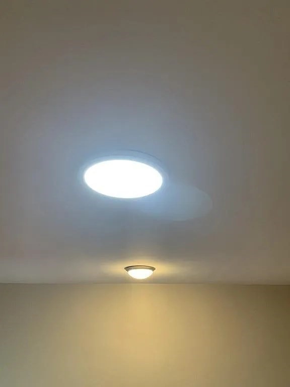 35 Hewins Street, Unit 3 Boston, MA 02121 - Photo 6 of 15