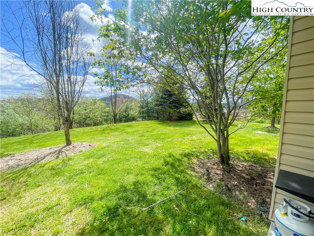190 Eli Hartley Drive, Unit 112 Boone, NC 28607 - Photo 20 of 20 a view of a yard with a tree
