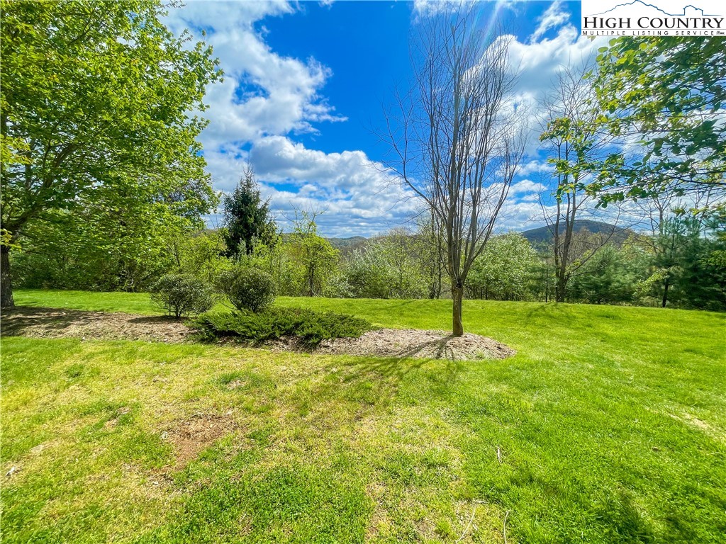 190 Eli Hartley Drive, Unit 112 Boone, NC 28607 - Photo 2 of 20 a backyard of a house with lots of green space