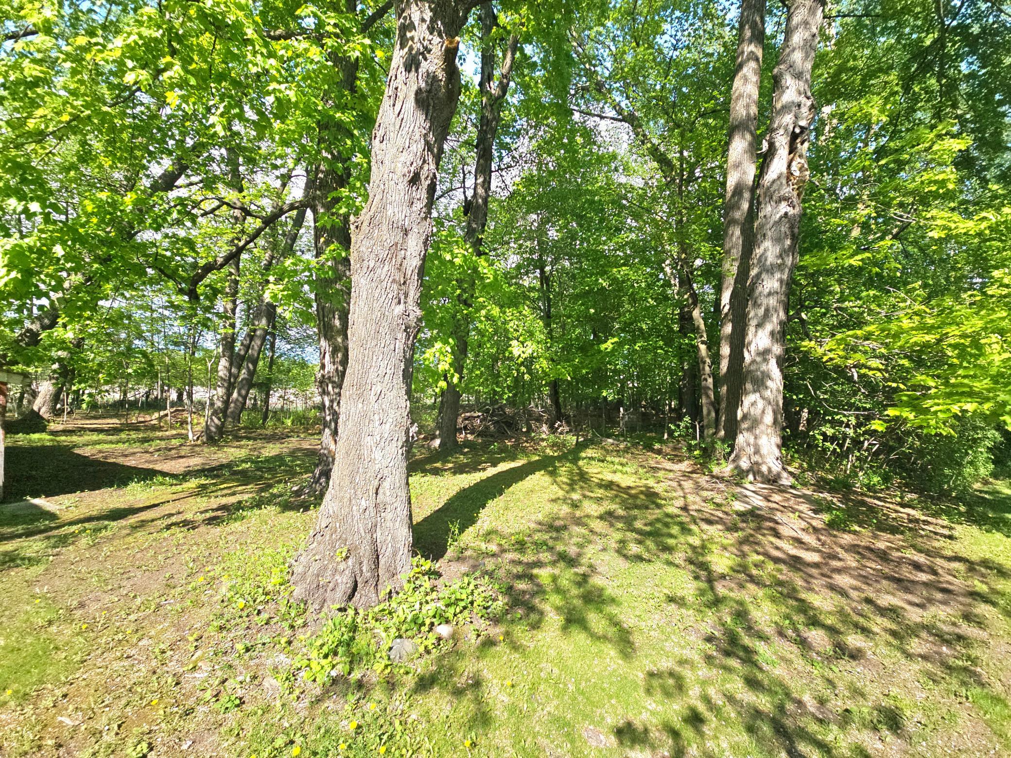 920 East Evergreen Street Isle, MN 56342 - Photo 47 of 52