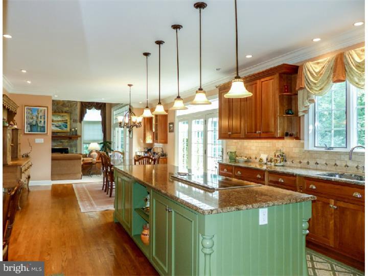3 Georgetown Circle Newtown, PA 18940 - Photo 8 of 25 Kitchen