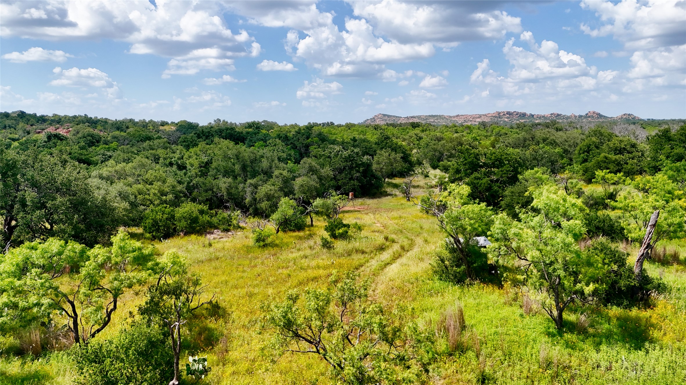 18248 Bode Peak Road Pontotoc, TX 76869 - Photo 4 of 17 A sprawling landscape of dense green foliage and open meadows stretches towards distant rolling hills under a vast blue sky.