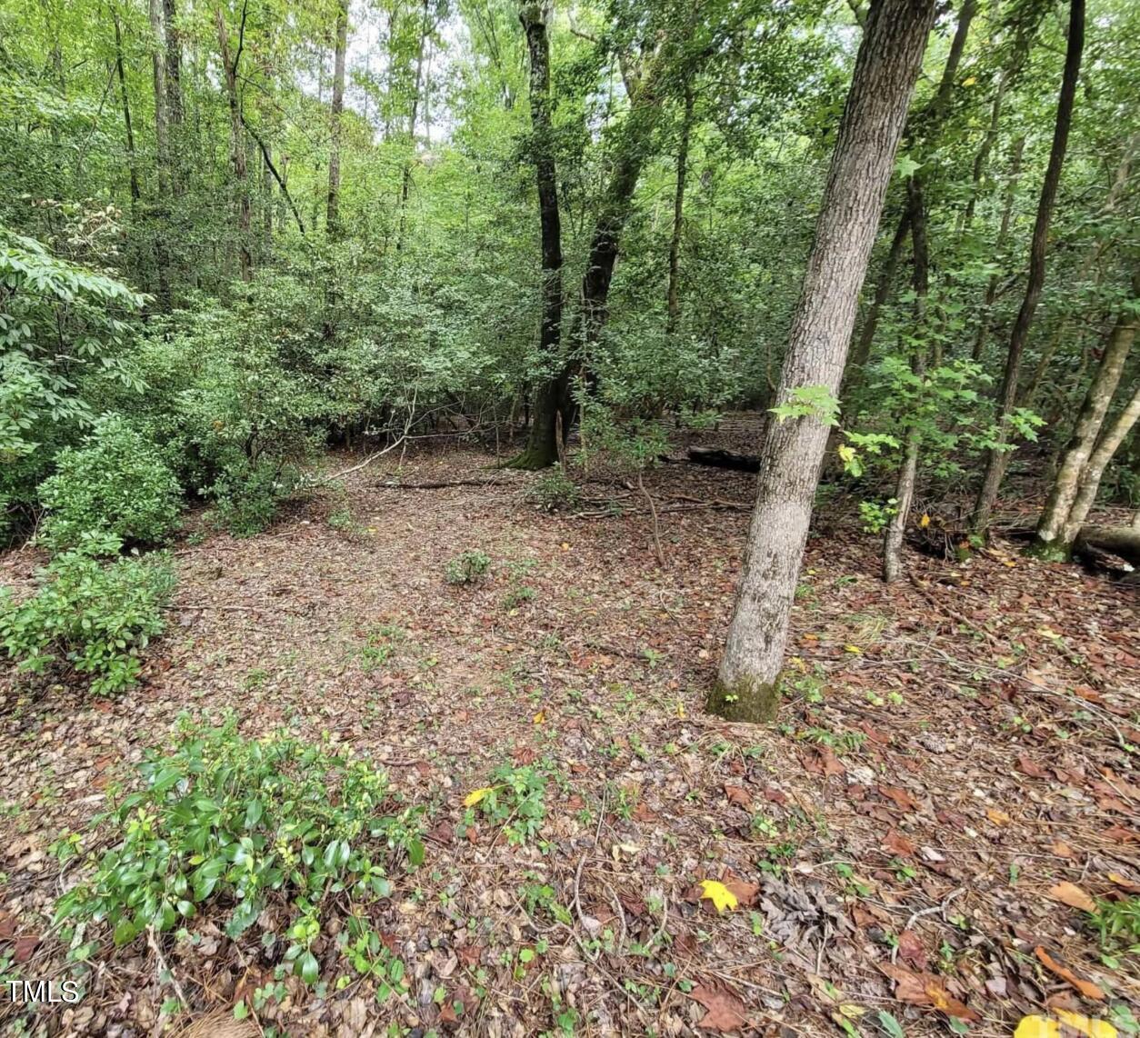 2045 Treetop Circle Sanford, NC 27332 - Photo 4 of 8 a view of a forest with trees