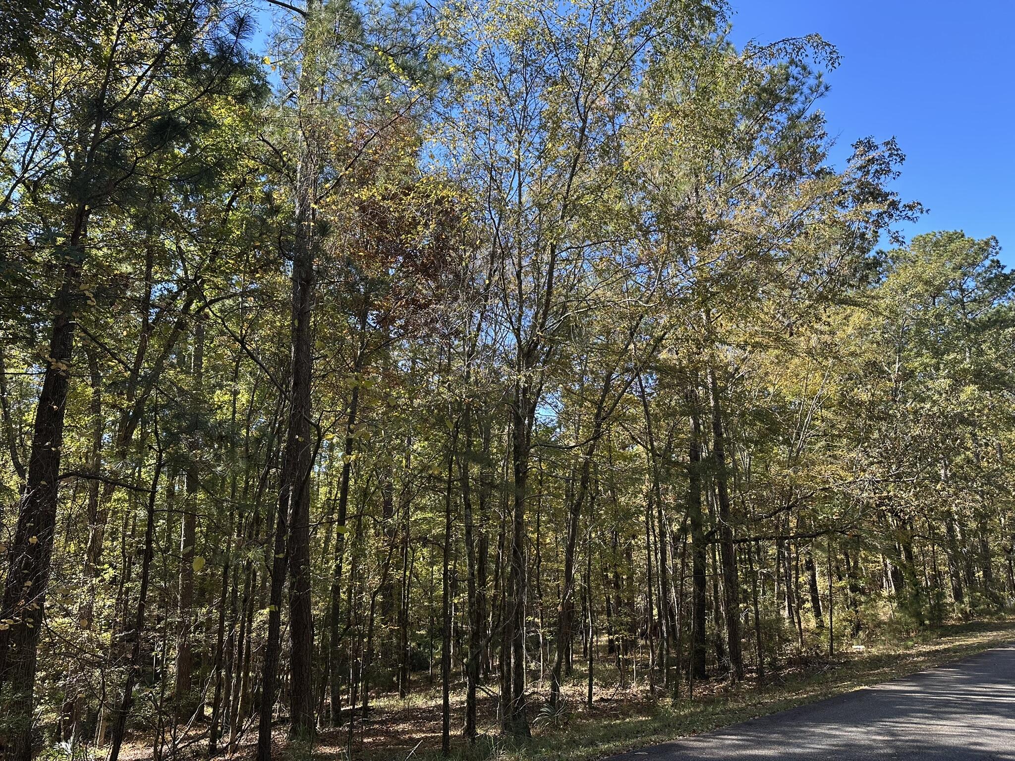 167 Southwind Drive McCormick, SC 29835 - Photo 2 of 18 IMG_1056