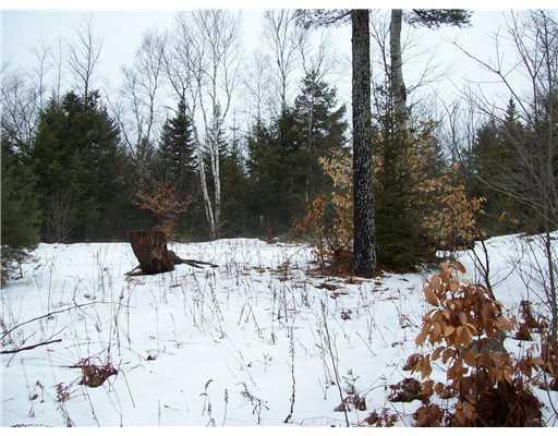 31 Curtis Road Etna, ME 04434 - Photo 9 of 9 Land/Lot.