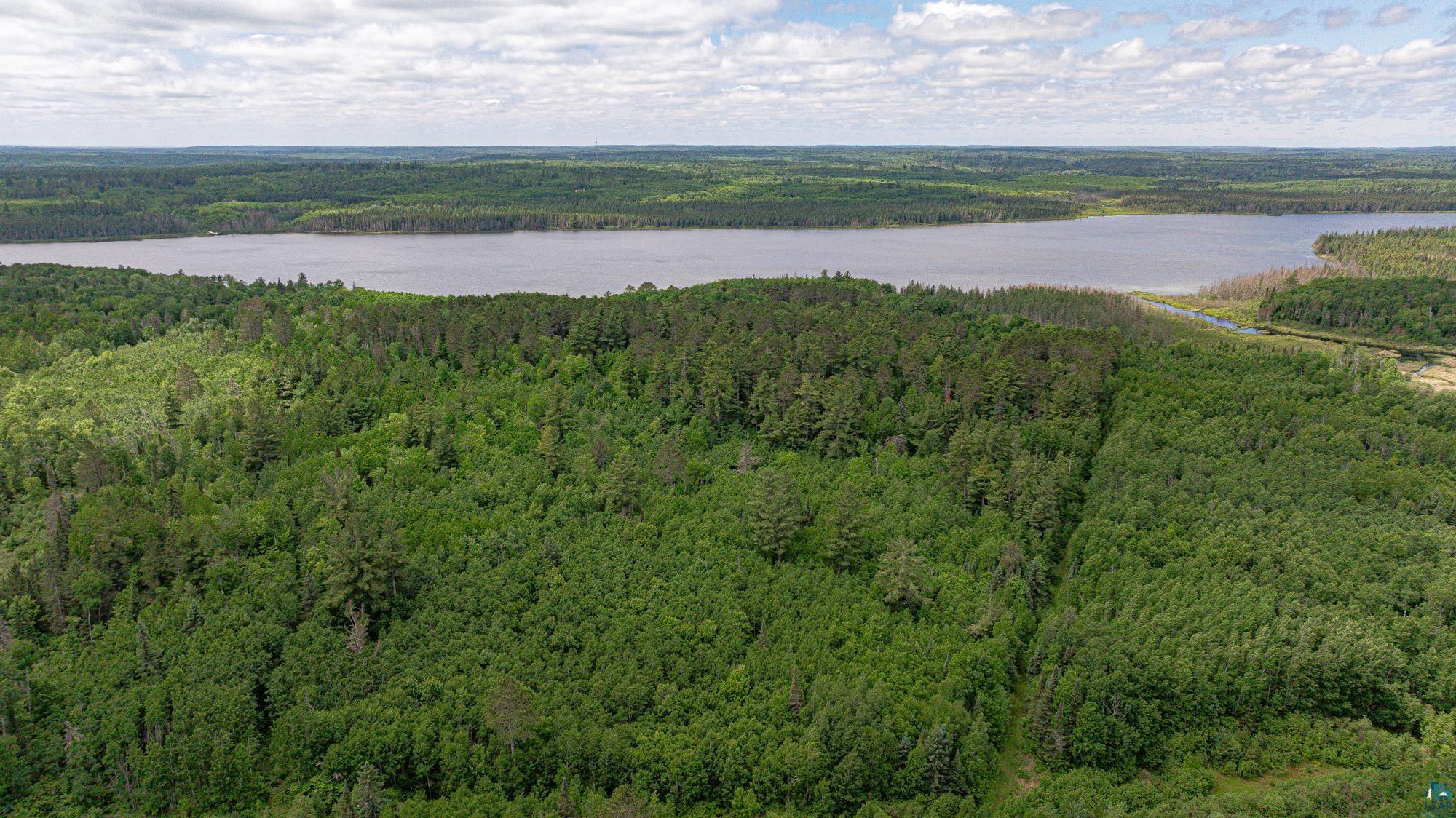 7280 Far North Road Buyck, MN 55771 - Photo 90 of 98