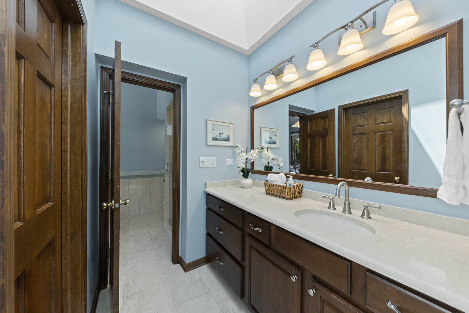2037 Burnham Place Wheaton, IL 60189 - Photo 21 of 46 a bathroom with a double vanity sink and a mirror