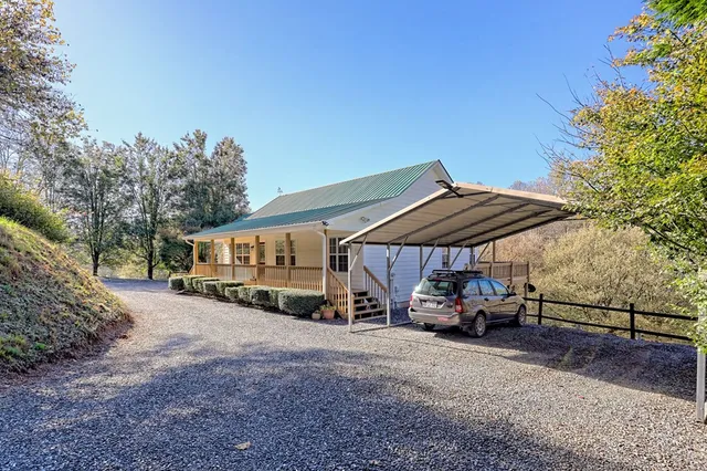 a view of a yard with a tree