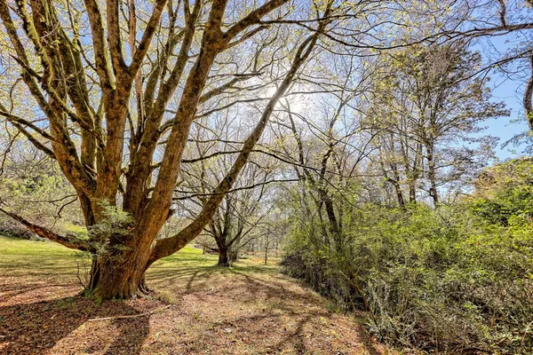 $459,000 | 257 Brandus Drive, Hayesville, NC 28904