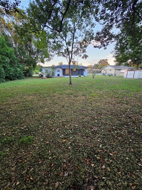 49 Azalea Drive DeBary, FL 32713 - Photo 25 of 25 a view of yard with tree s