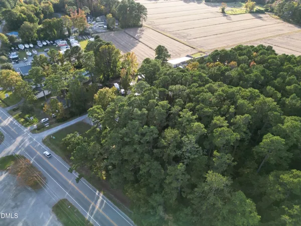 a view of a yard