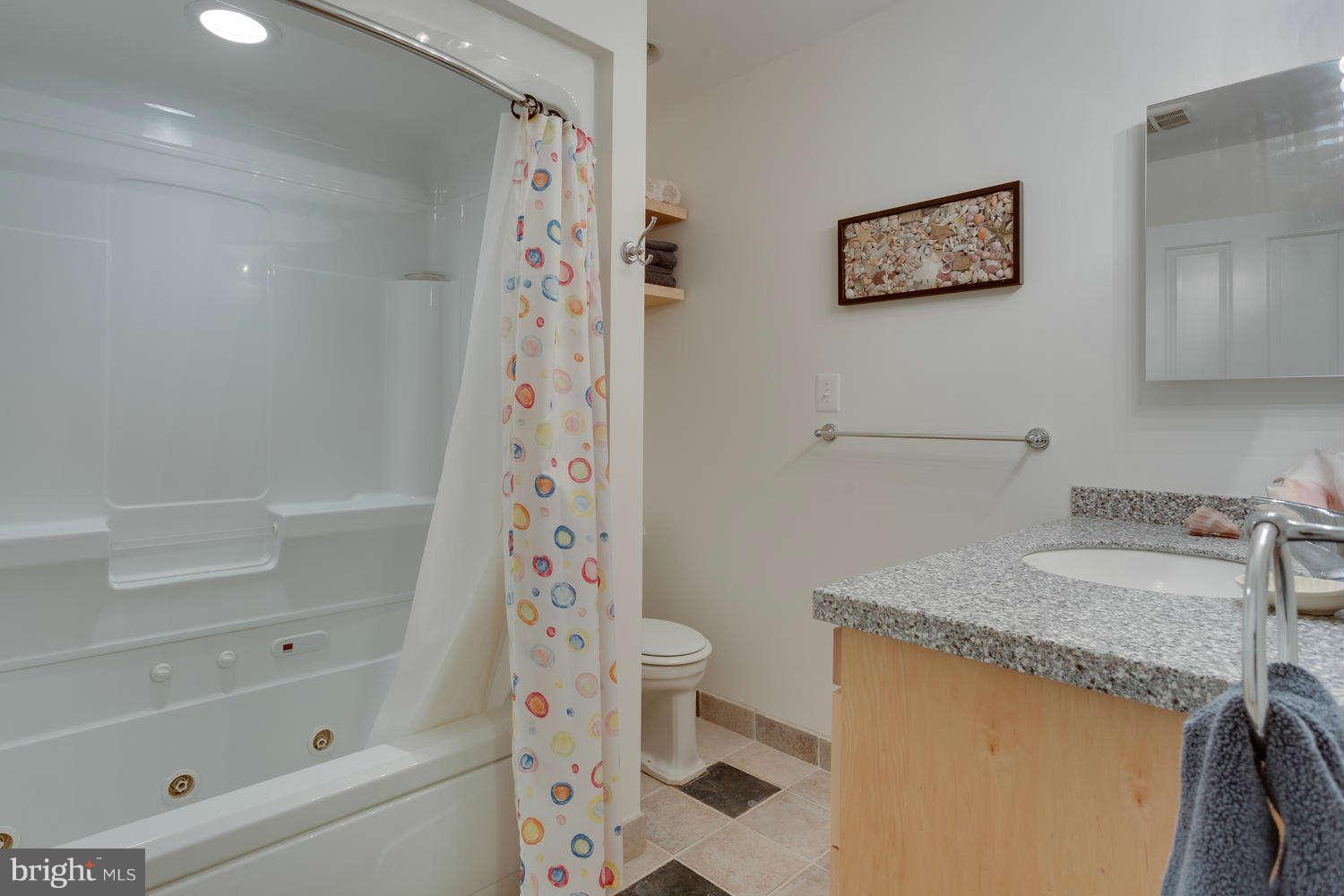1918 Leonard Road Falls Church, VA 22043 - Photo 23 of 30 Bath in Upper Hall with Jacuzzi