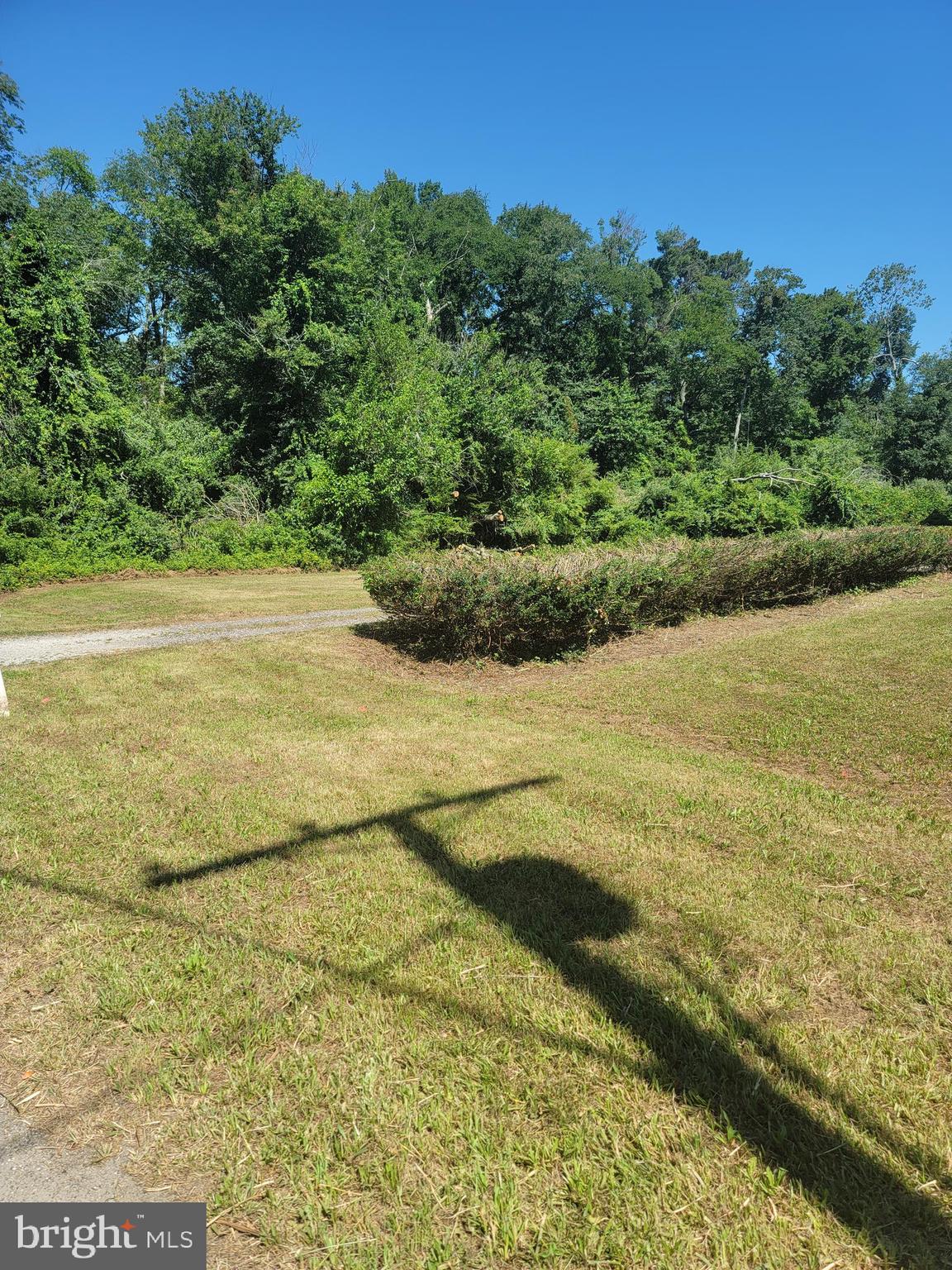243 Pancoast Mill Road Buena, NJ 08310 - Photo 2 of 17