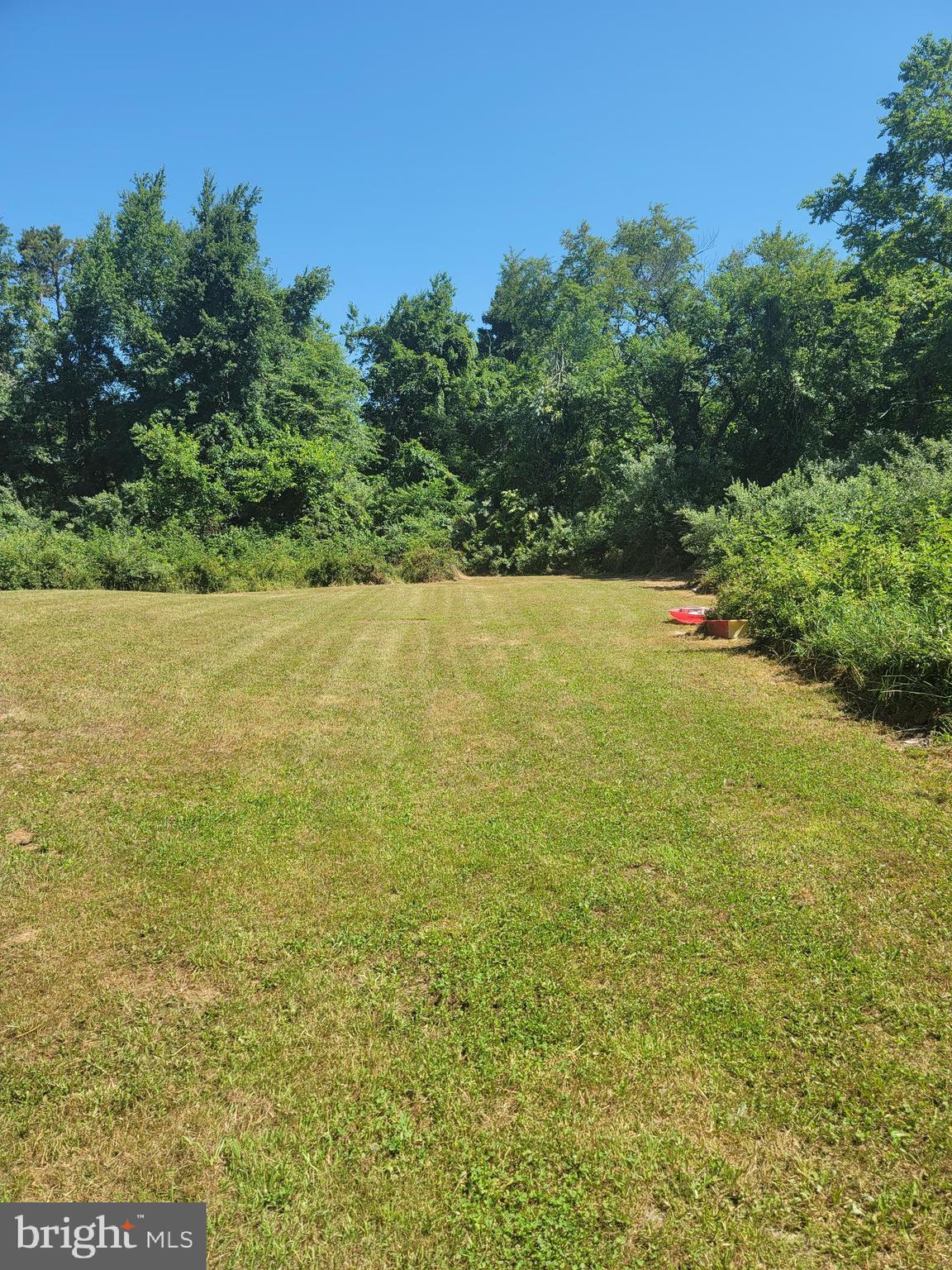 243 Pancoast Mill Road Buena, NJ 08310 - Photo 3 of 17