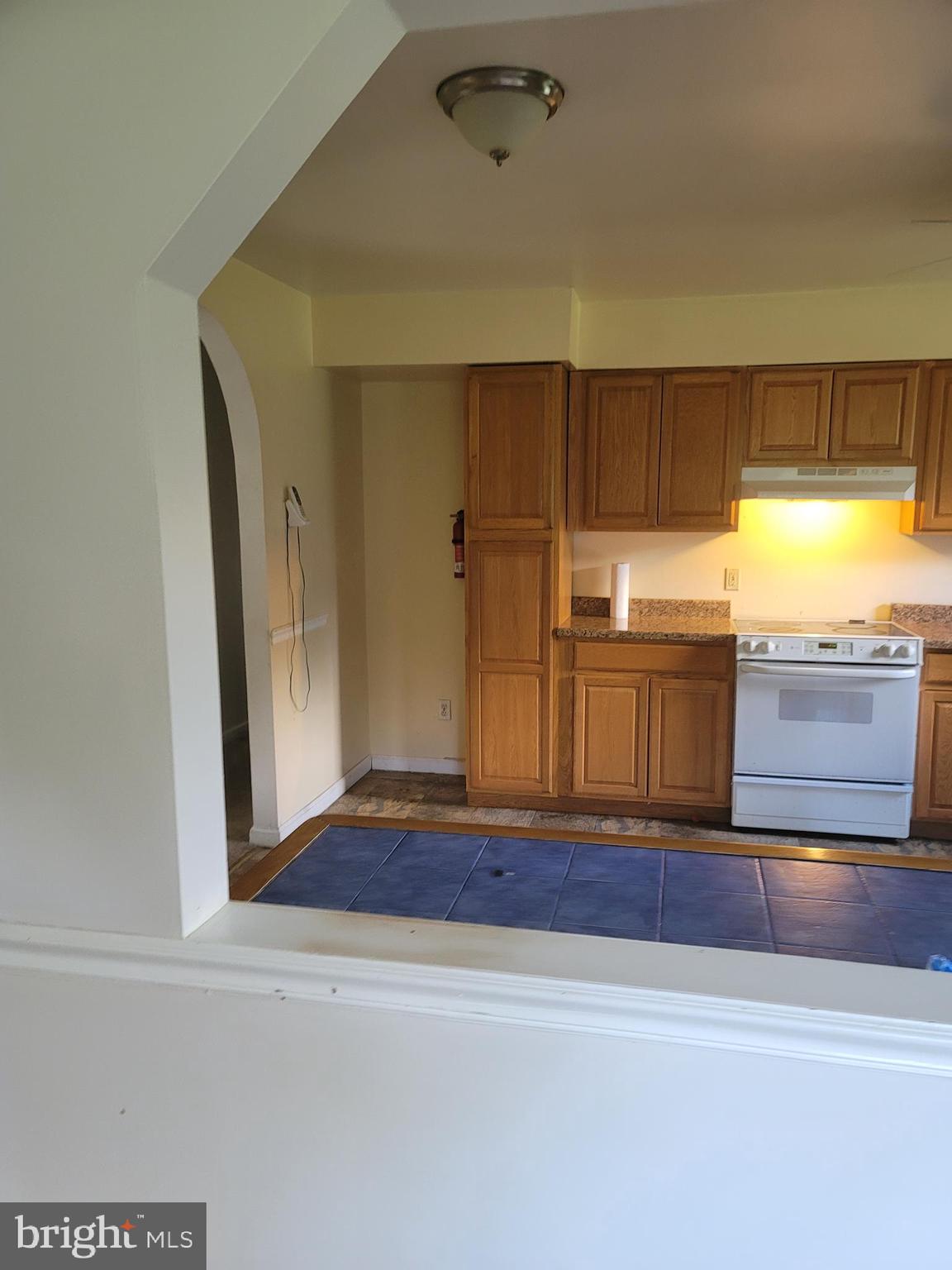 243 Pancoast Mill Road Buena, NJ 08310 - Photo 8 of 17