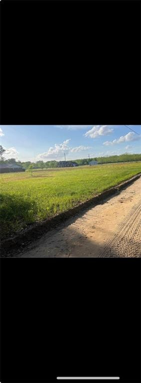 N/a JB Eason Road Screven, GA 31560 - Photo 1 of 1 Gallery Image 1