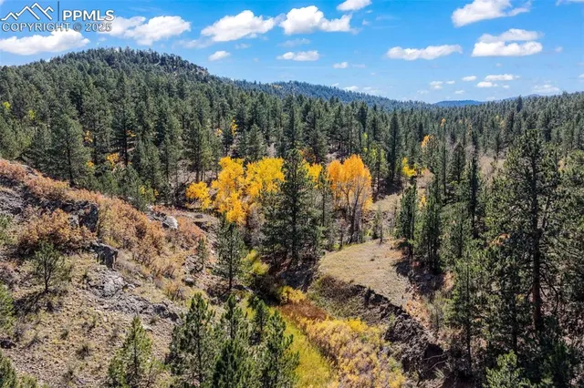 a view of a yard with a tree in the background