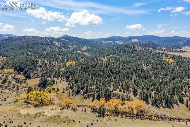 a view of a dry yard with mountains in the background