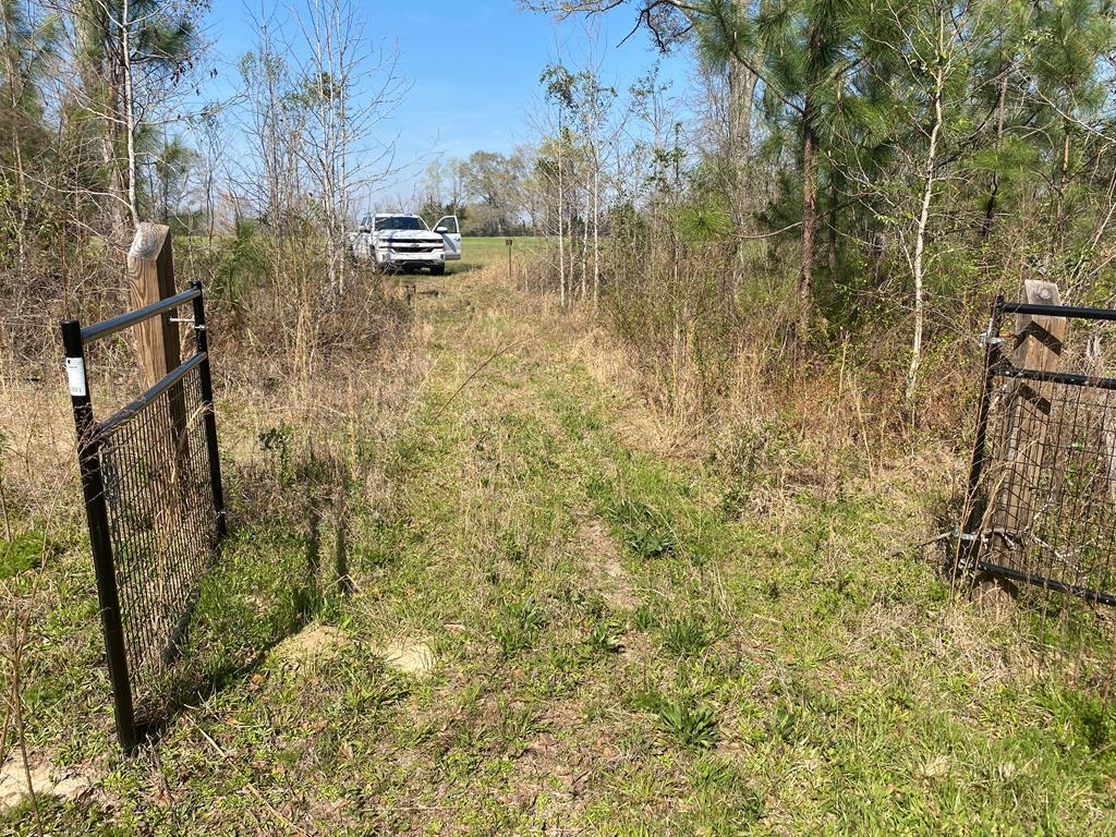 1229 Pierce Road Waverly Hall, GA 31831 - Photo 30 of 32