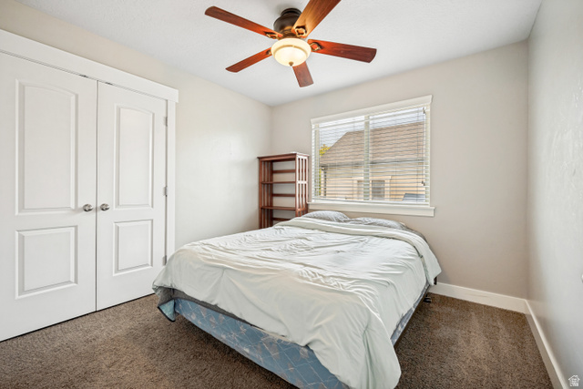 719 Shavey Lane Springville, UT 84663 - Photo 13 of 33