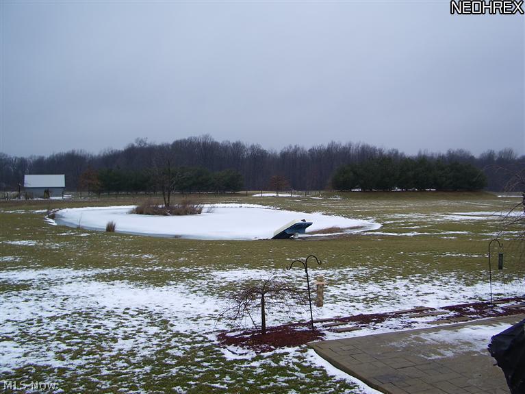 3520 Vandemark, Litchfield, OH  Private Pond (stocked) in winter