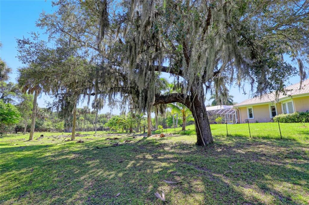 5371 Park Road Fort Myers, FL 33908 - Photo 13 of 19 Gallery Image 13