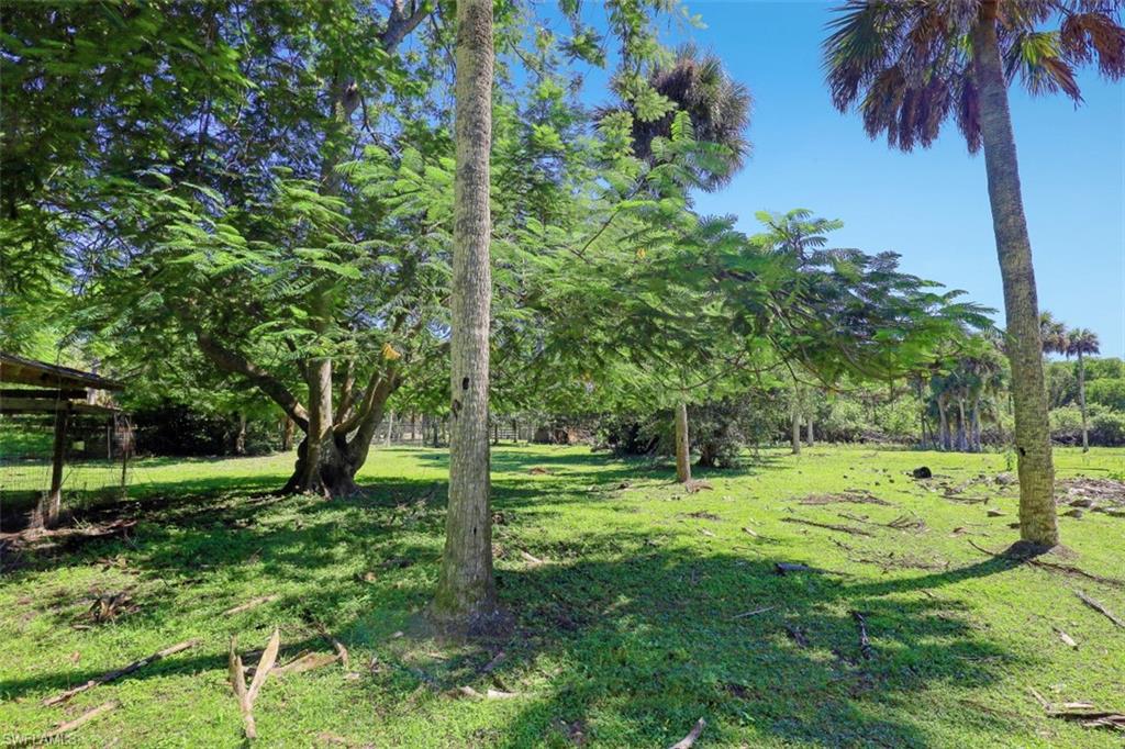 5371 Park Road Fort Myers, FL 33908 - Photo 14 of 19 Gallery Image 14