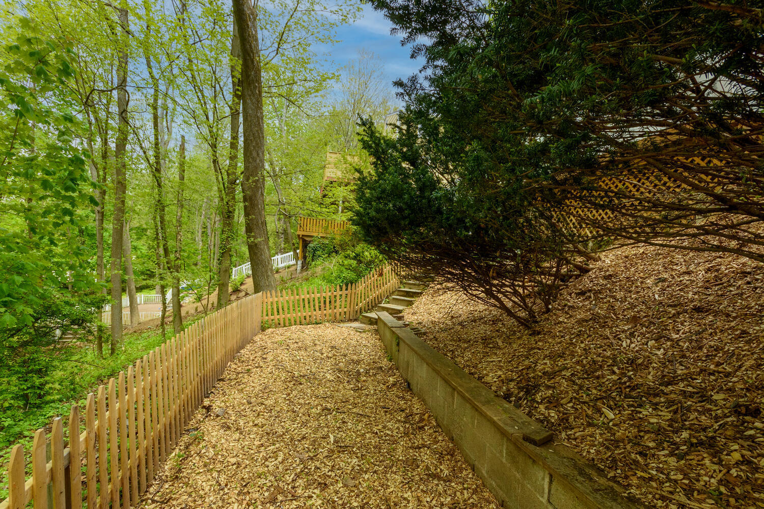 27 Hollow Tree Ridge Road Darien, CT 06820 - Photo 23 of 27 a view of a yard