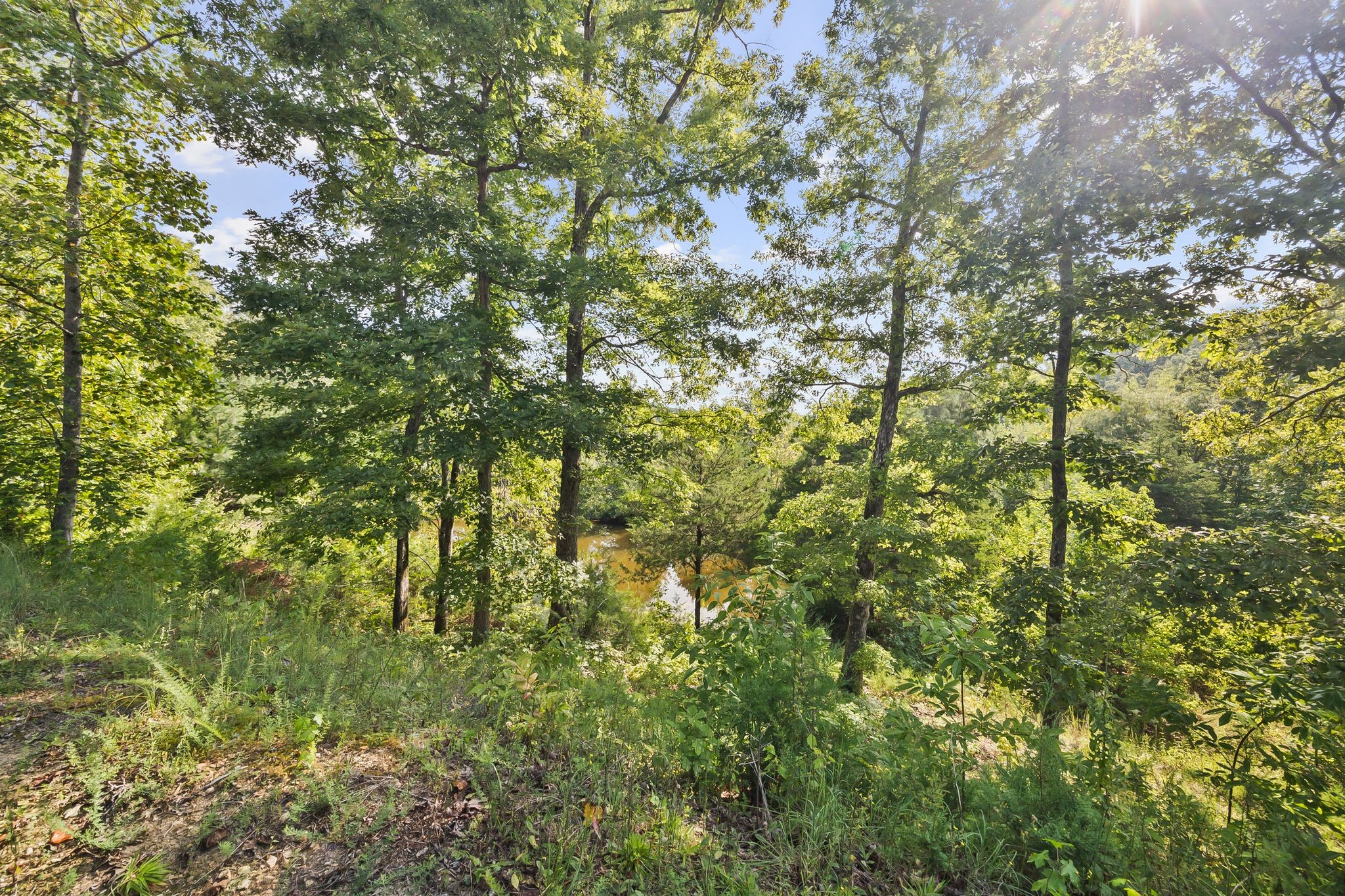 1582 Hellsneck Road Waverly, TN 37185 - Photo 56 of 72 a view of a yard