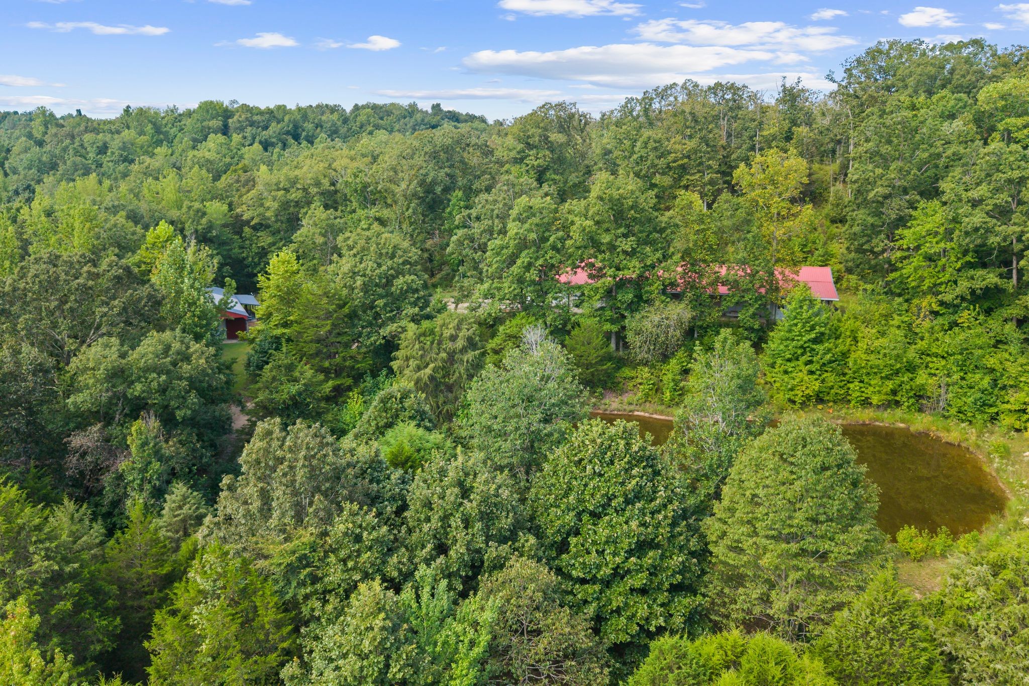 1582 Hellsneck Road Waverly, TN 37185 - Photo 58 of 72