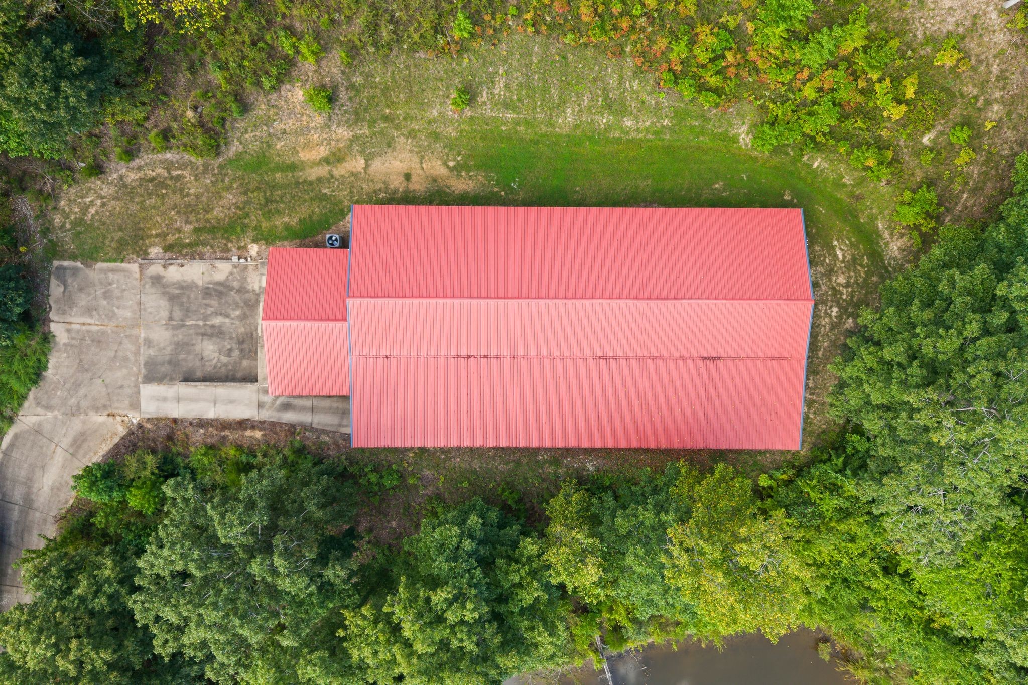 1582 Hellsneck Road Waverly, TN 37185 - Photo 59 of 72 a view of a yard with an trees