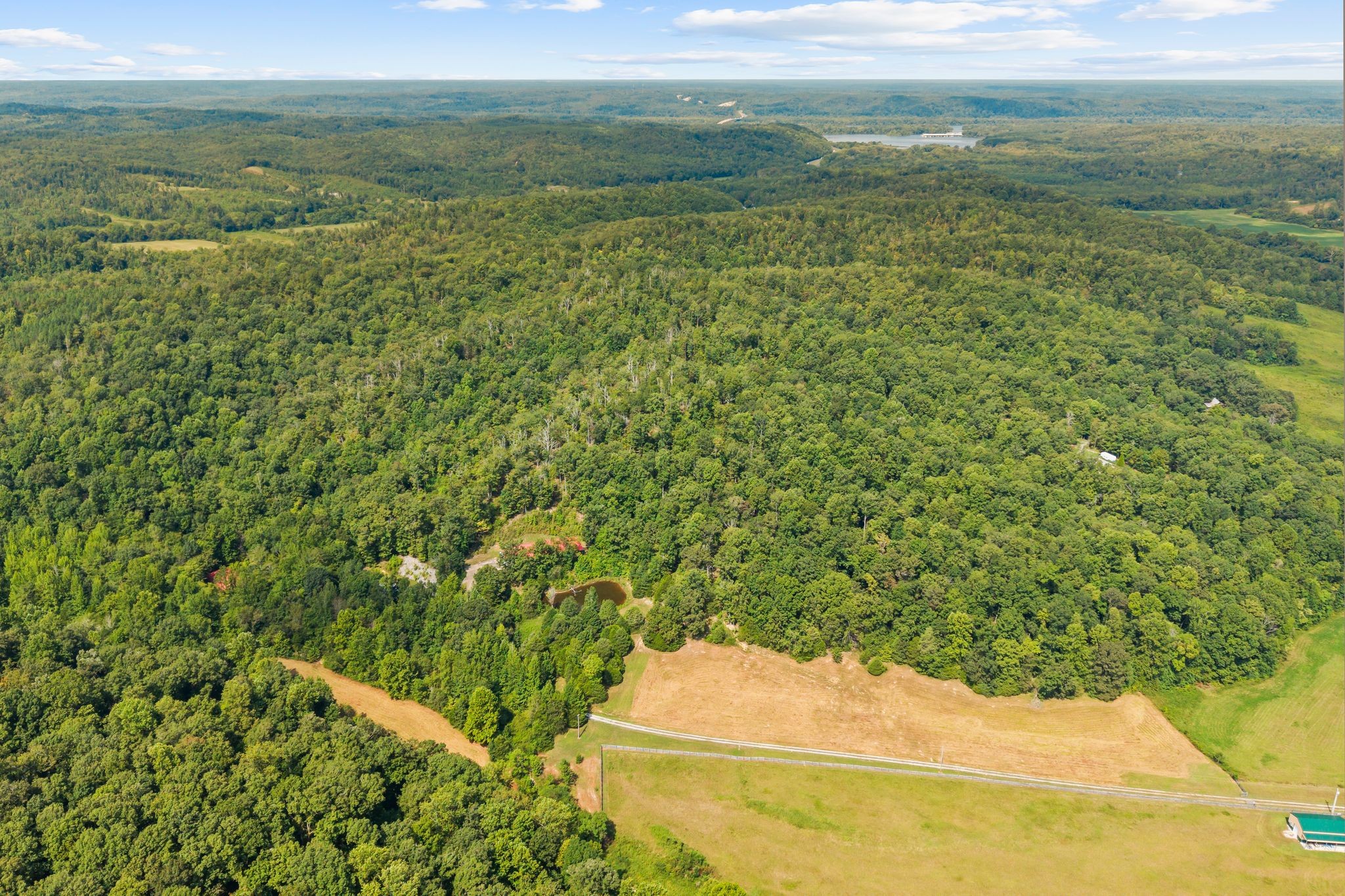 1582 Hellsneck Road Waverly, TN 37185 - Photo 66 of 72 a view of a yard with an outdoor space