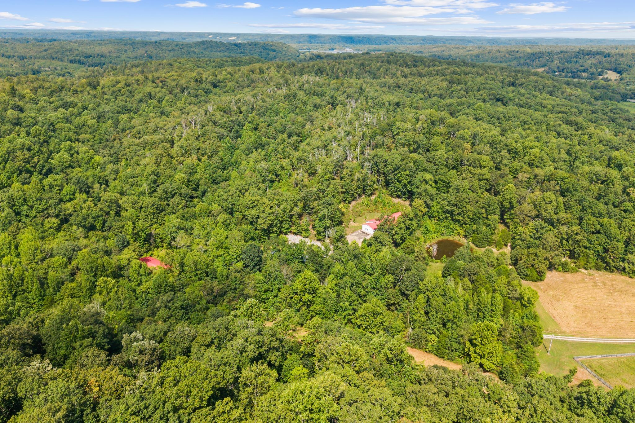 1582 Hellsneck Road Waverly, TN 37185 - Photo 67 of 72