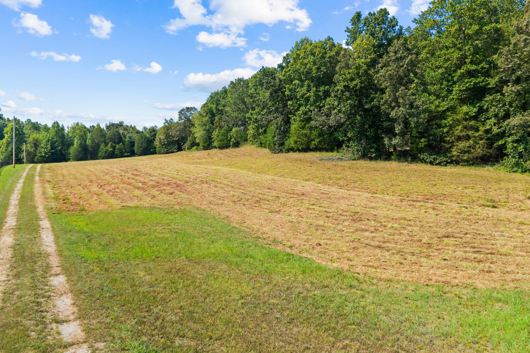 1582 Hellsneck Road Waverly, TN 37185 - Photo 69 of 72