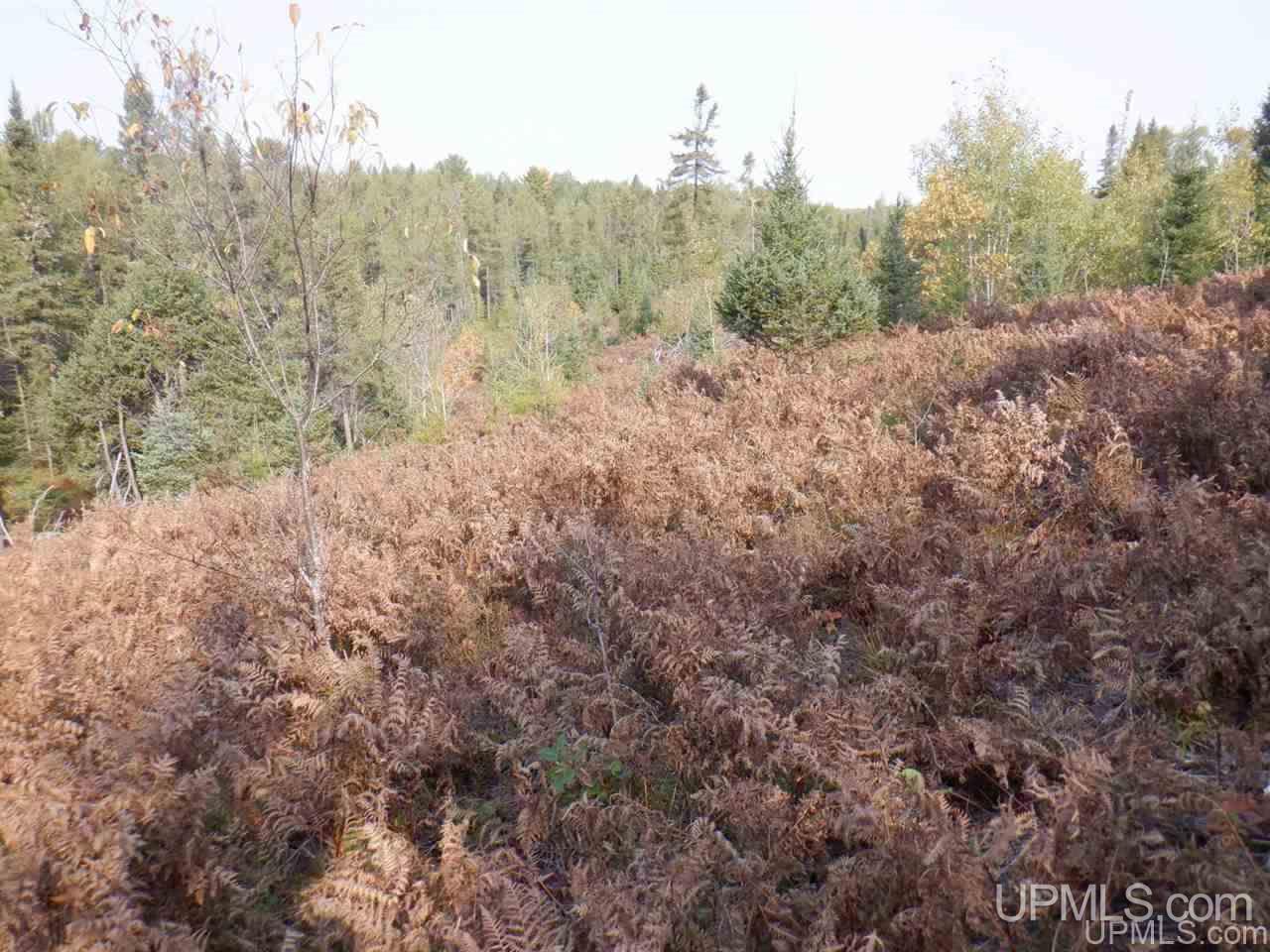 Tbd Bone Lake Road Amasa, MI 49903 - Photo 18 of 29