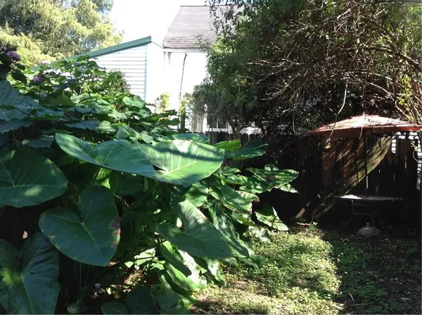 $1,800 | 809 France Street, Unit 809, New Orleans, LA 70117